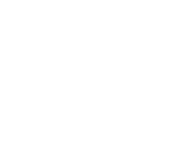 Logo AEQUUS